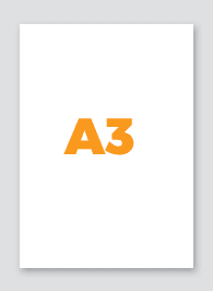 A3