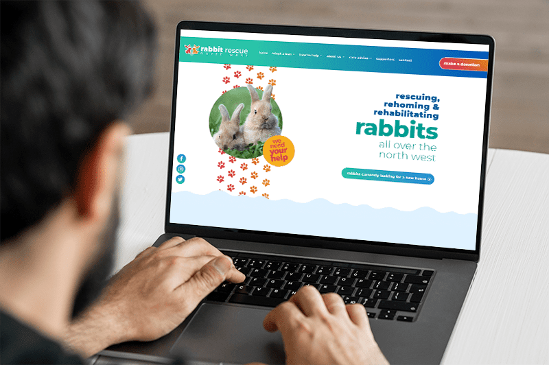 Rabbit Rescue North West