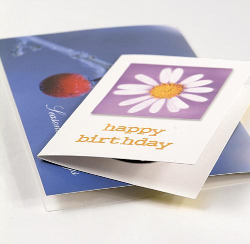 Printed greeting cards in York