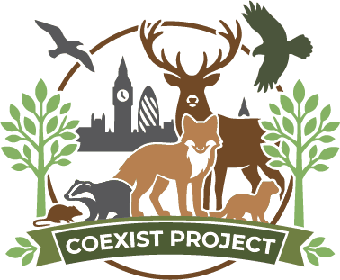 The Coexist Project
